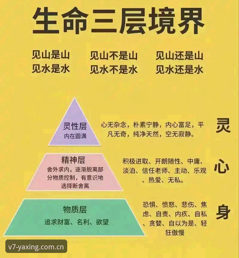 4个关键维度：V7AXJ sport login到底怎么样？实战派拆解